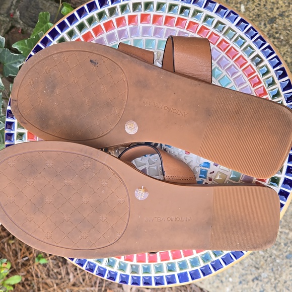 Antonio Melani Lanessa Banded Thong Sandal - Picture 10 of 12